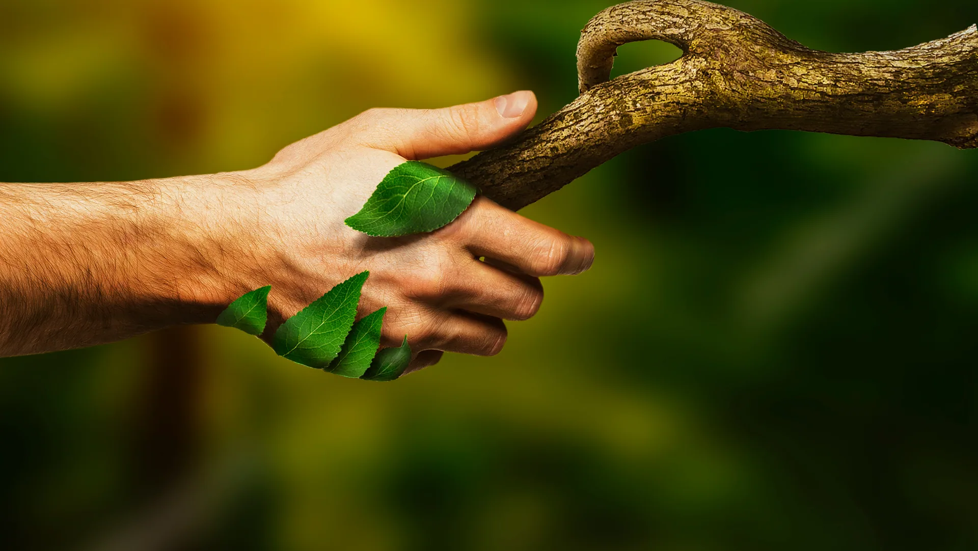 About Coconut Infotech