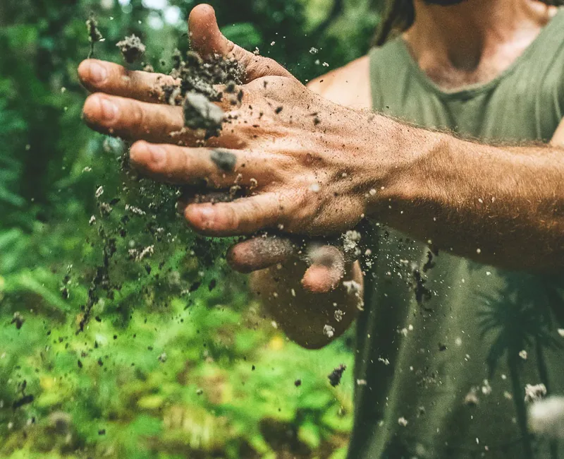Soil Health and Organic Micro Nutrients
