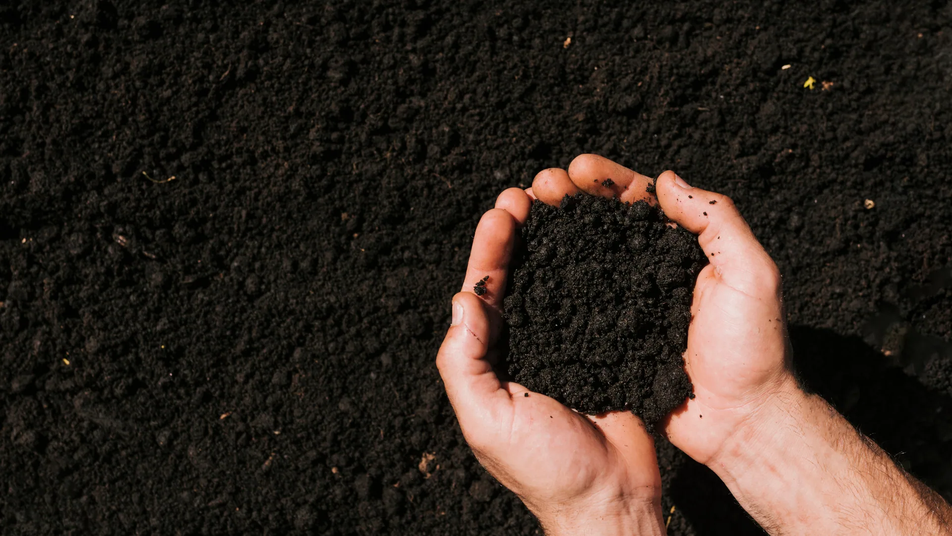 Soil Health Superhume