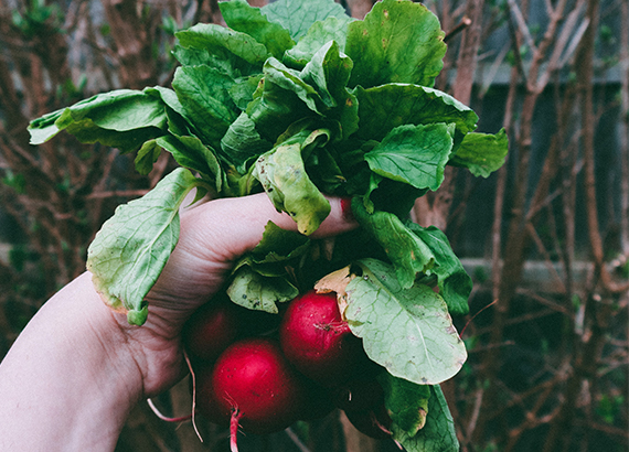 Supporting Family Farmers